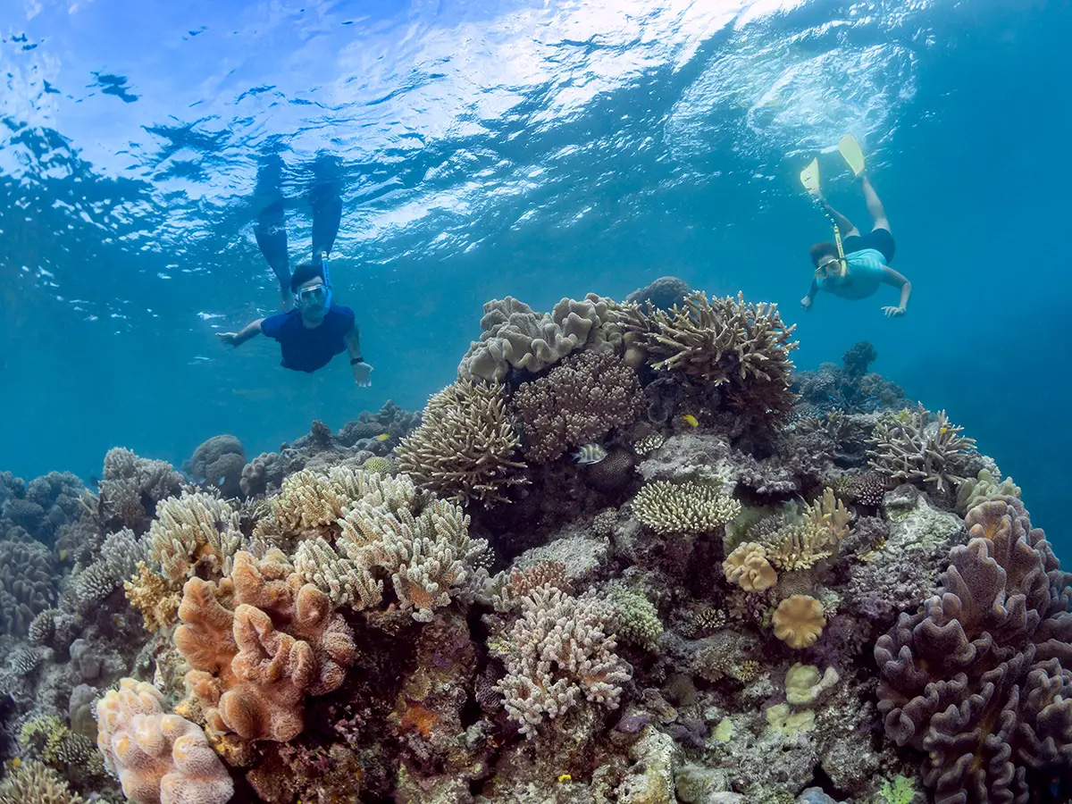 Underwater observatory at the pontoon on Moore Reef