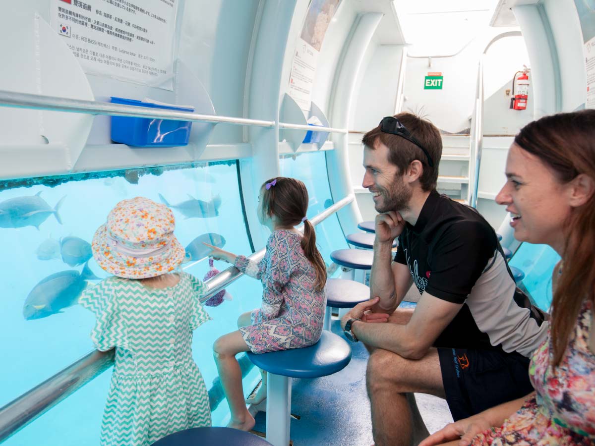 pontoon cruise, glass bottom boat, adventure