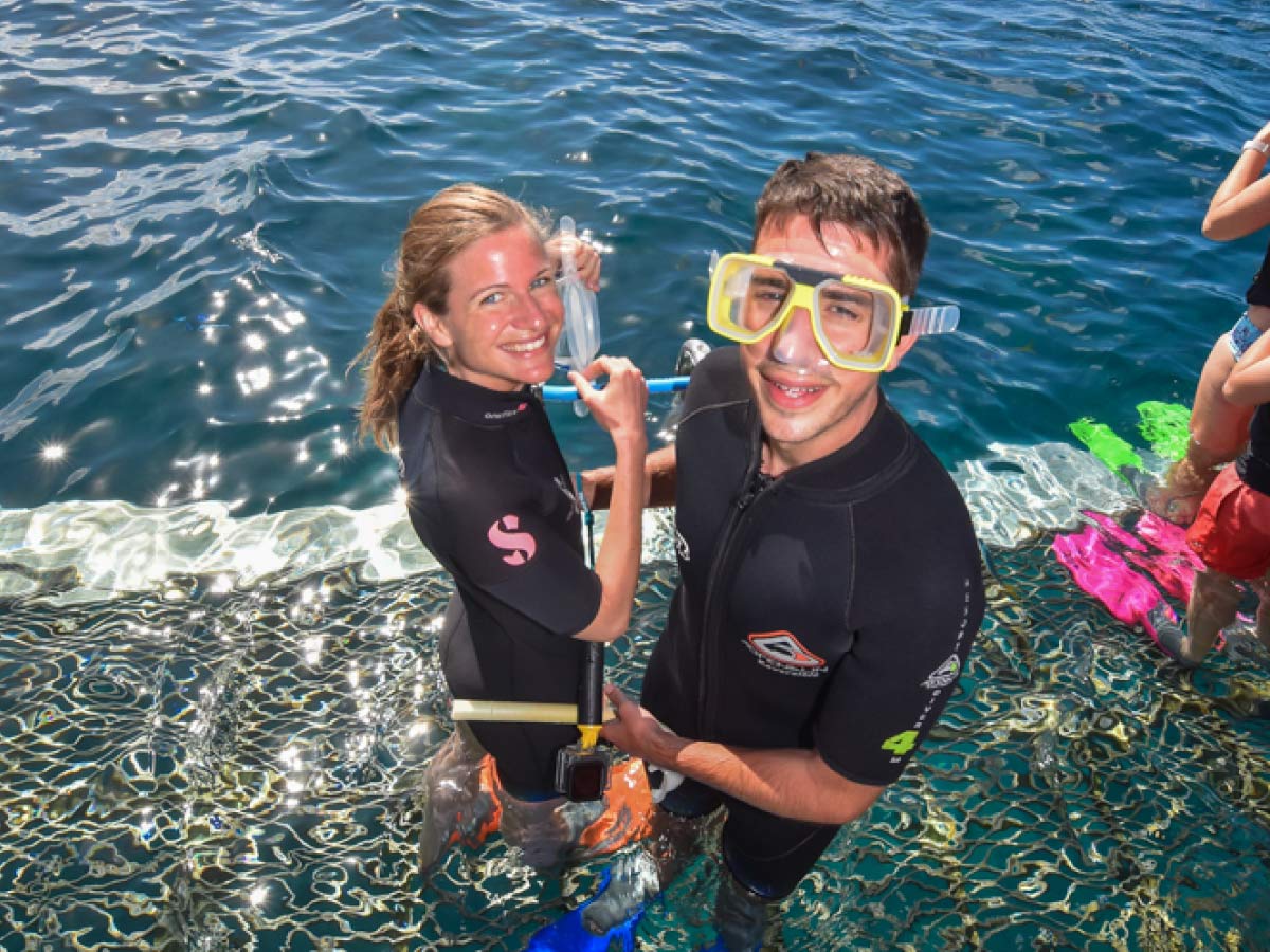 great barrier reef snorkelling