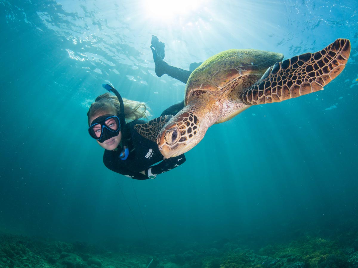 Waterslide pontoon at Moore Reef on the Great Barrier Reef