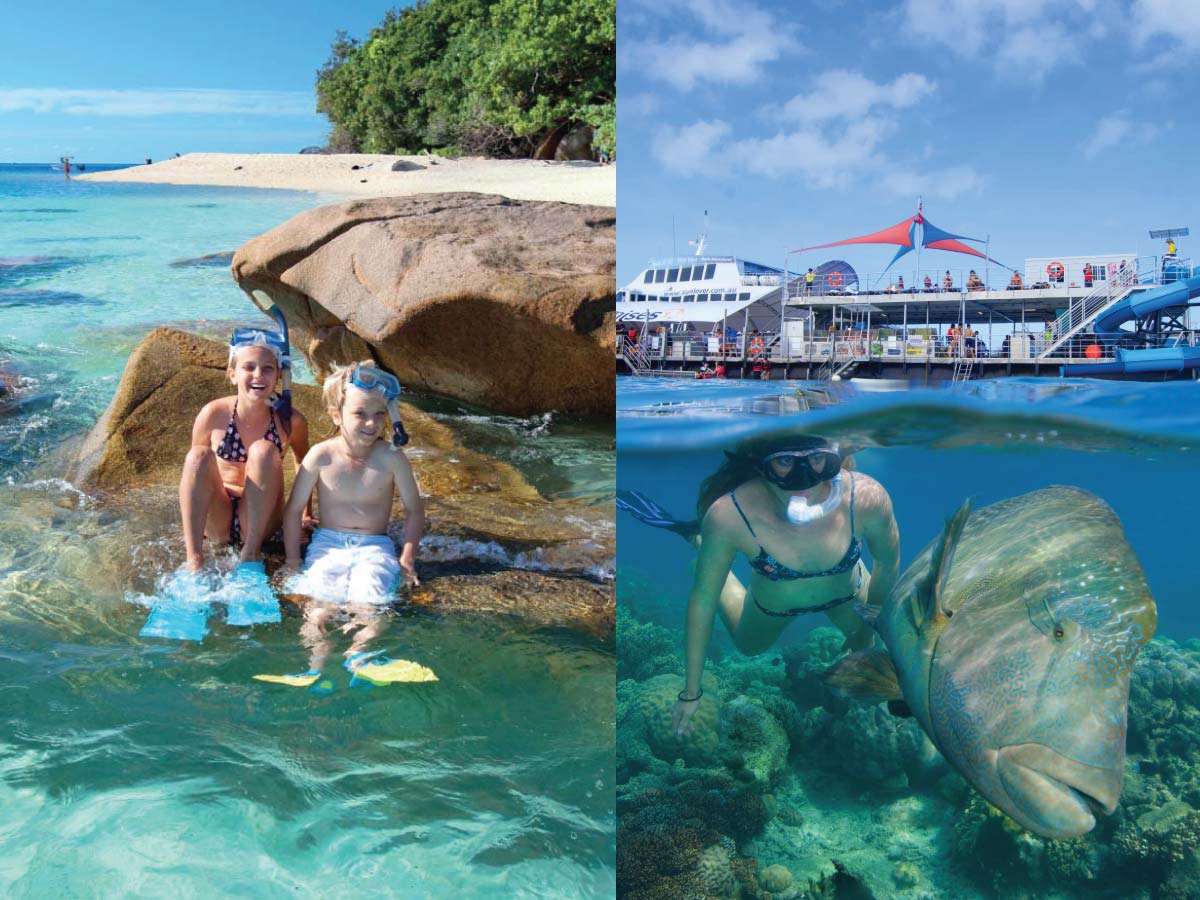 Two day trip Fitzroy Island Moore reef